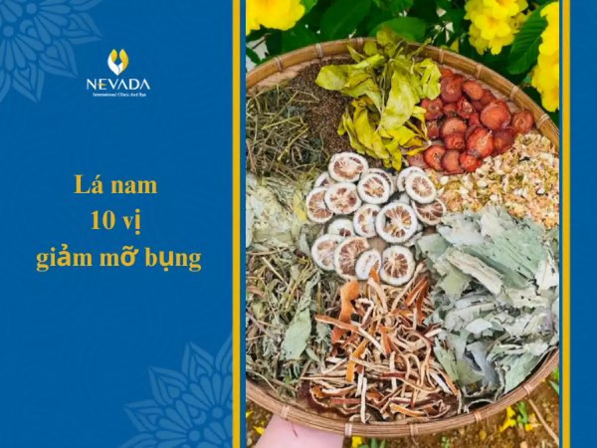 Lá nam 10 vị giảm mỡ bụng gồm những gì?