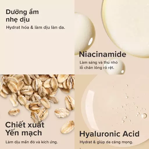 Một số thành phần nổi bật có trong gel dưỡng ẩm Paula's Choice Skin Balancing Invisible Finish Moisture Gel