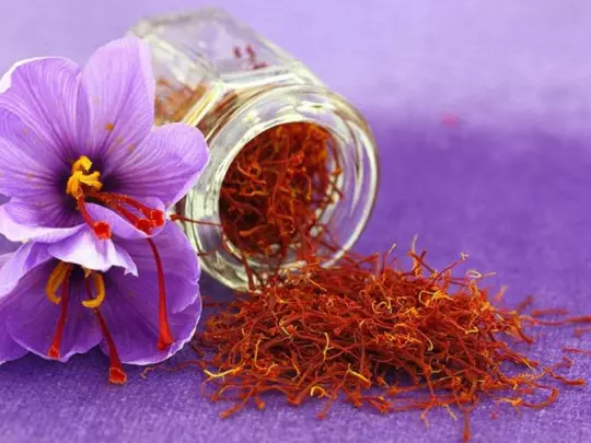 Saffron