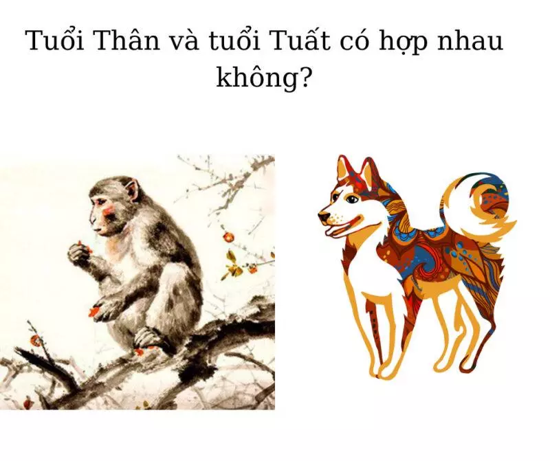 Tuổi Thân và tuổi Tuất có hợp nhau không?