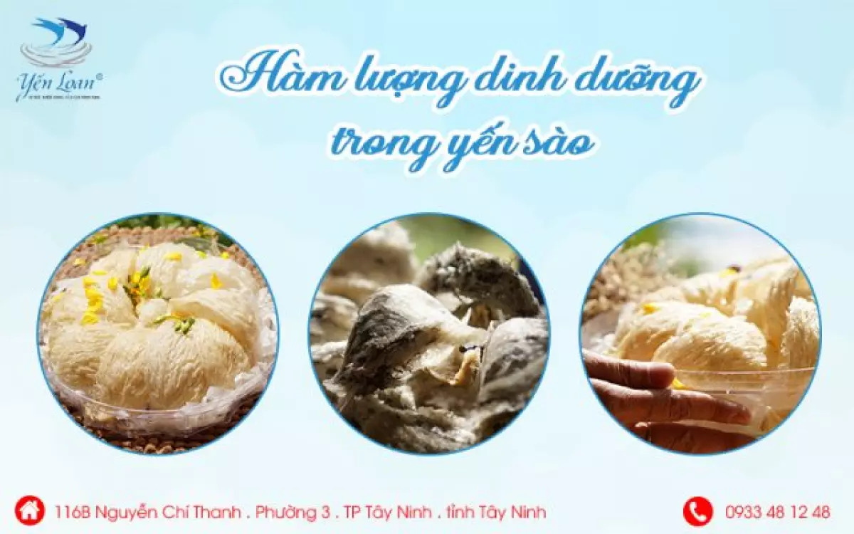 dinh dưỡng trong yến sào