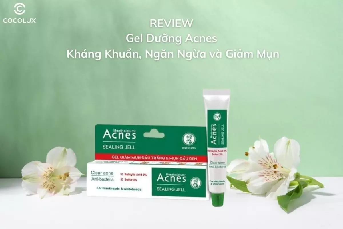 Review Gel Dưỡng Acnes Kháng Khuẩn, Ngăn Ngừa và Giảm Mụn