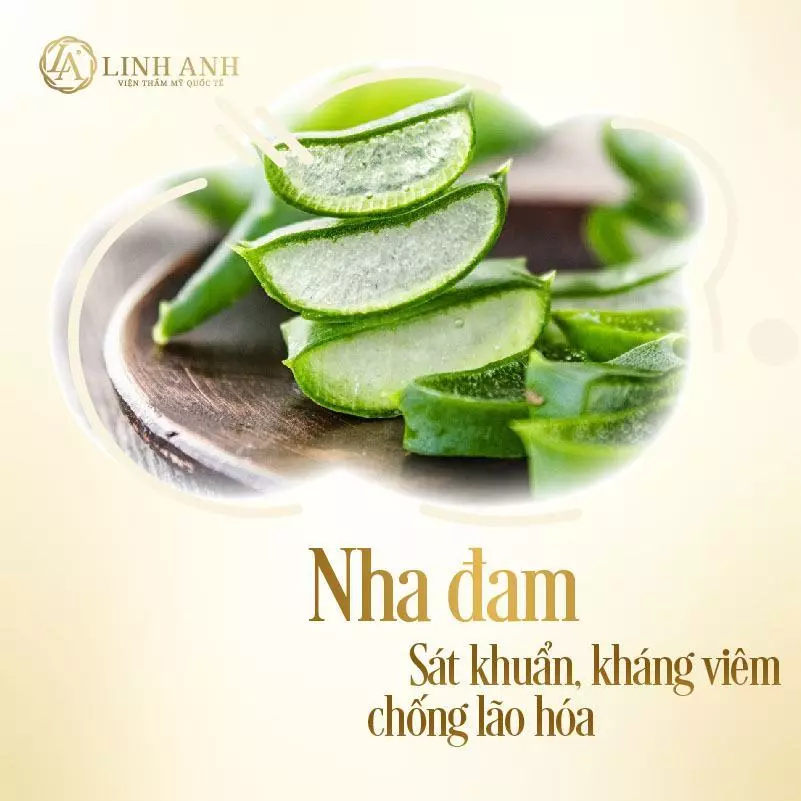 Thành phần của cao lá nam trị mụn