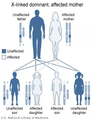 Di truyền gen trội liên kết X