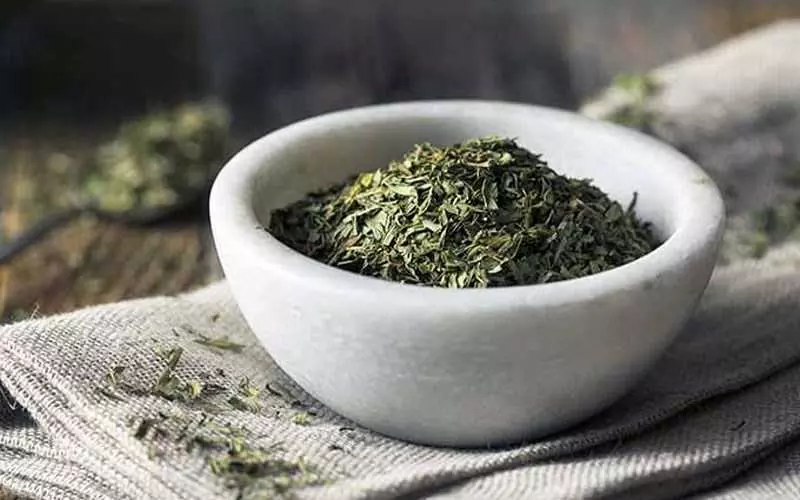 Lá Tarragon mua ở đâu?