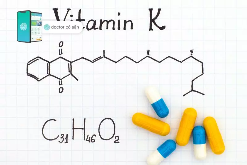 Vitamin K tham gia vào quá trình đông máu