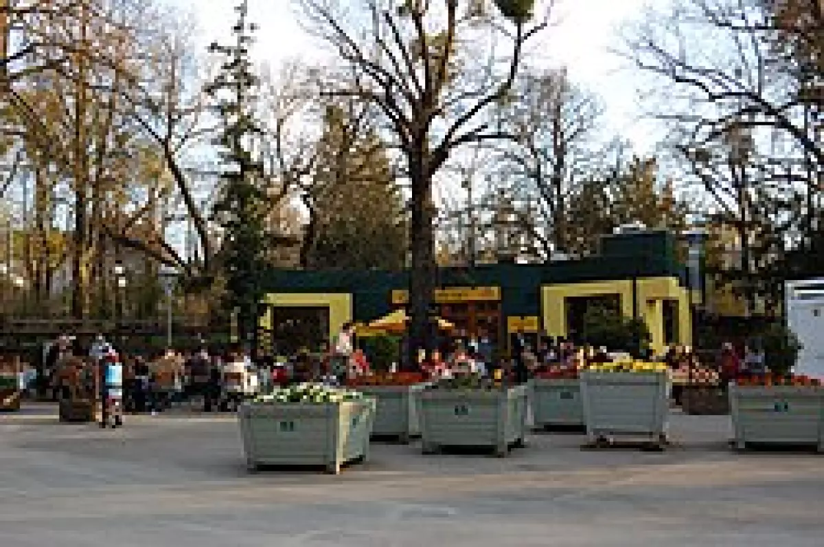 Türkenschanzpark ở Vienna trong buổi chiều sớm