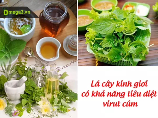 Xông mặt bằng kinh giới