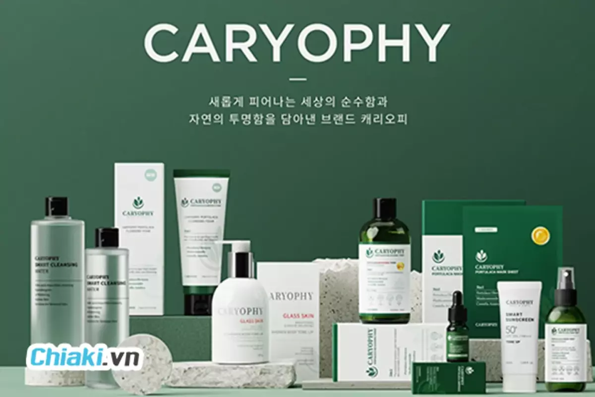 Thành phần chính trong serum Caryophy