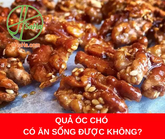 QUẢ ÓC CHÓ CÓ ĂN SỐNG ĐƯỢC KHÔNG