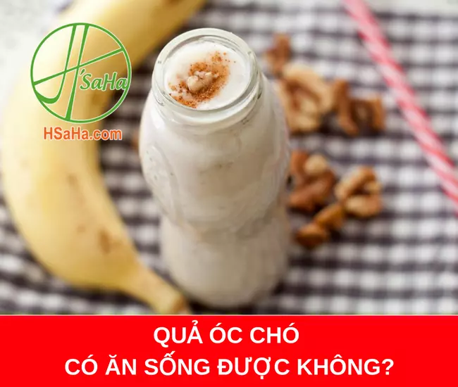 QUẢ ÓC CHÓ CÓ ĂN SỐNG ĐƯỢC KHÔNG