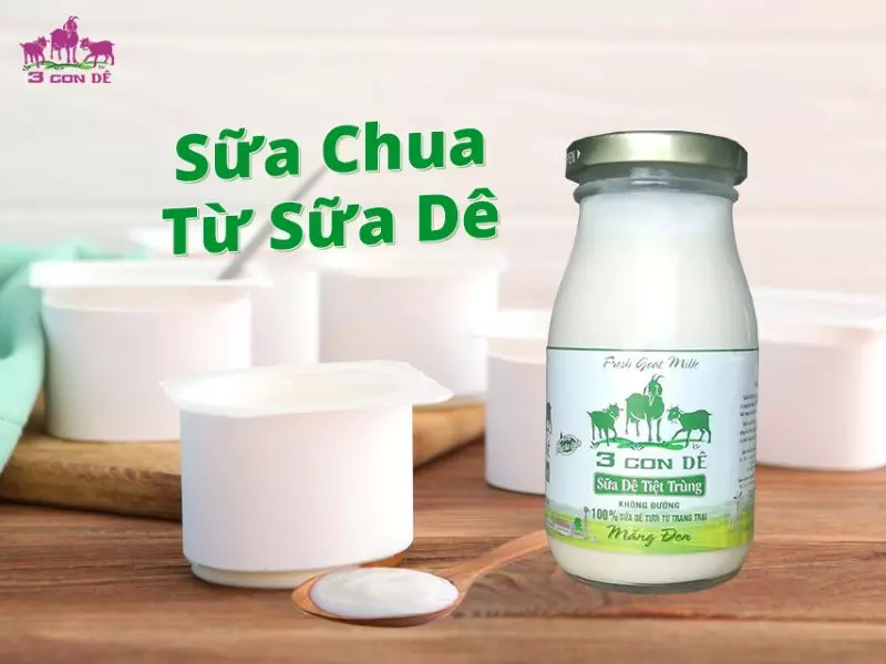 Với vị chua thanh, ngọt thơm đặc trưng từ sữa dê sẽ giúp cho món sữa chua thêm phần đặc biệt cho các bé thưởng thức