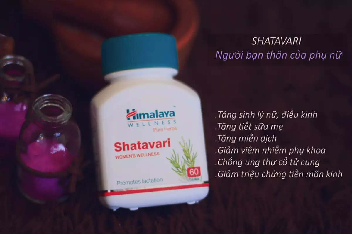 Viên uống thảo dược điều hòa nội tiết Shatavari