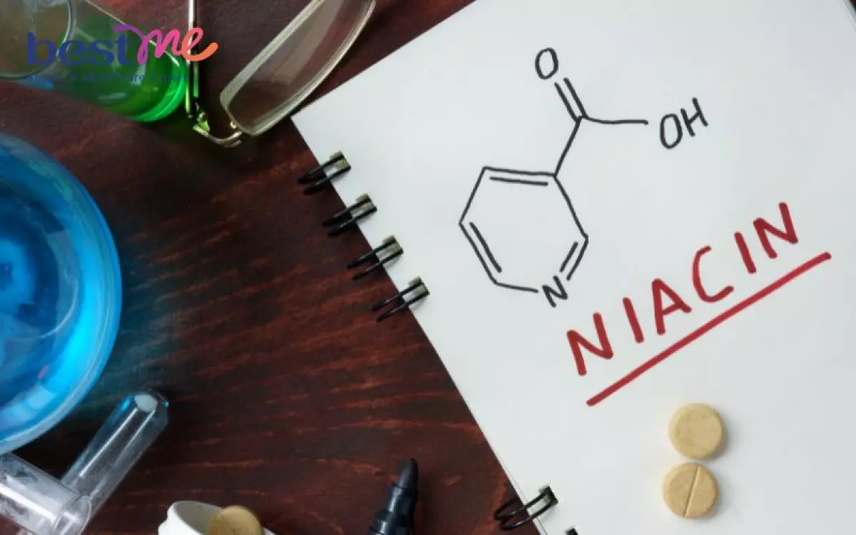 Niacin có 2 dẫn xuất vô cùng quan trọng đối với cơ thể