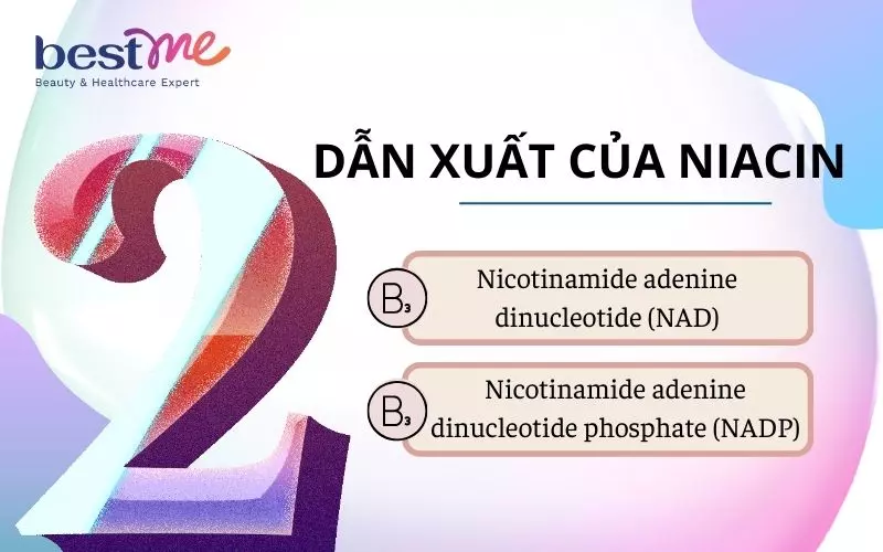 Sự thiếu hụt vitamin B3 khiến chuyển hóa năng lượng bị rối loạn