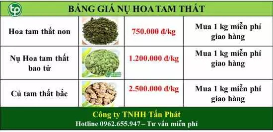 Giá bán nụ hoa tam thất