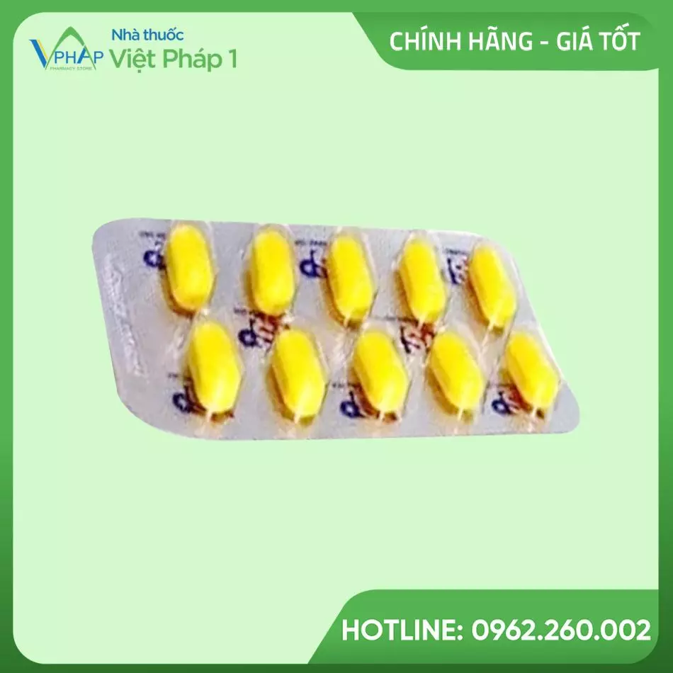 Vỉ HC-Pansicon