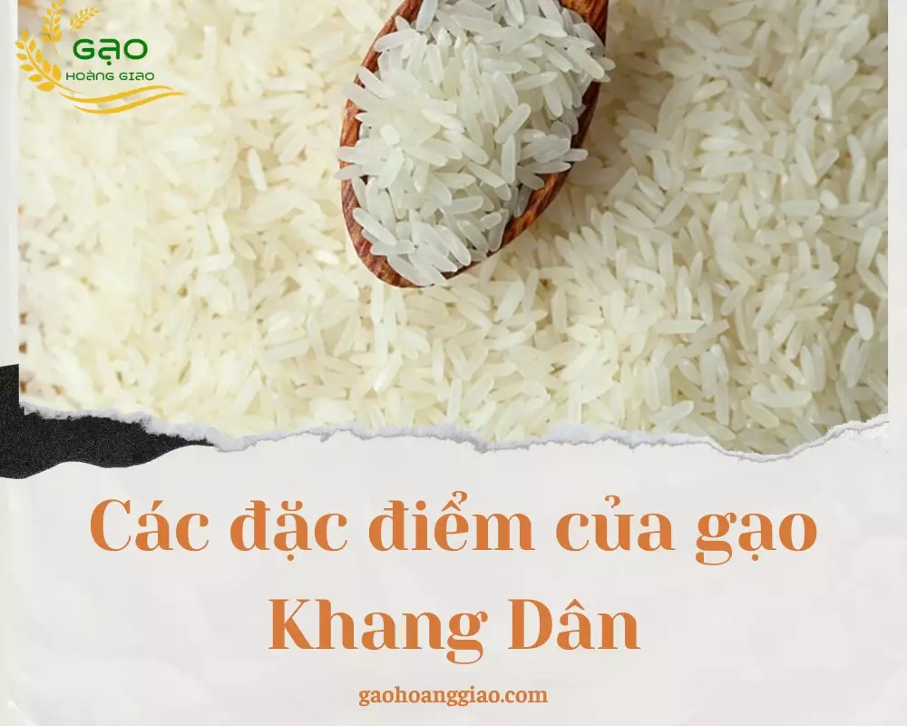 Các đặc điểm của gạo Khang Dân