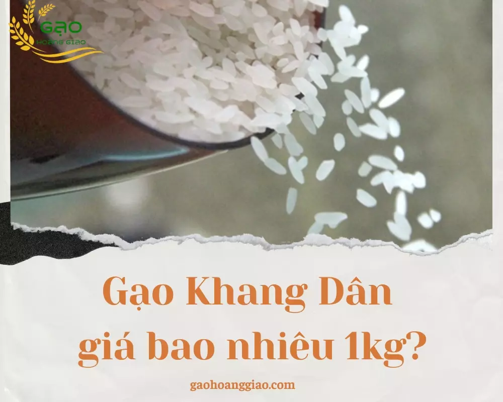 Người tiêu dùng quan tâm gạo Khang Dân giá bao nhiêu 1kg