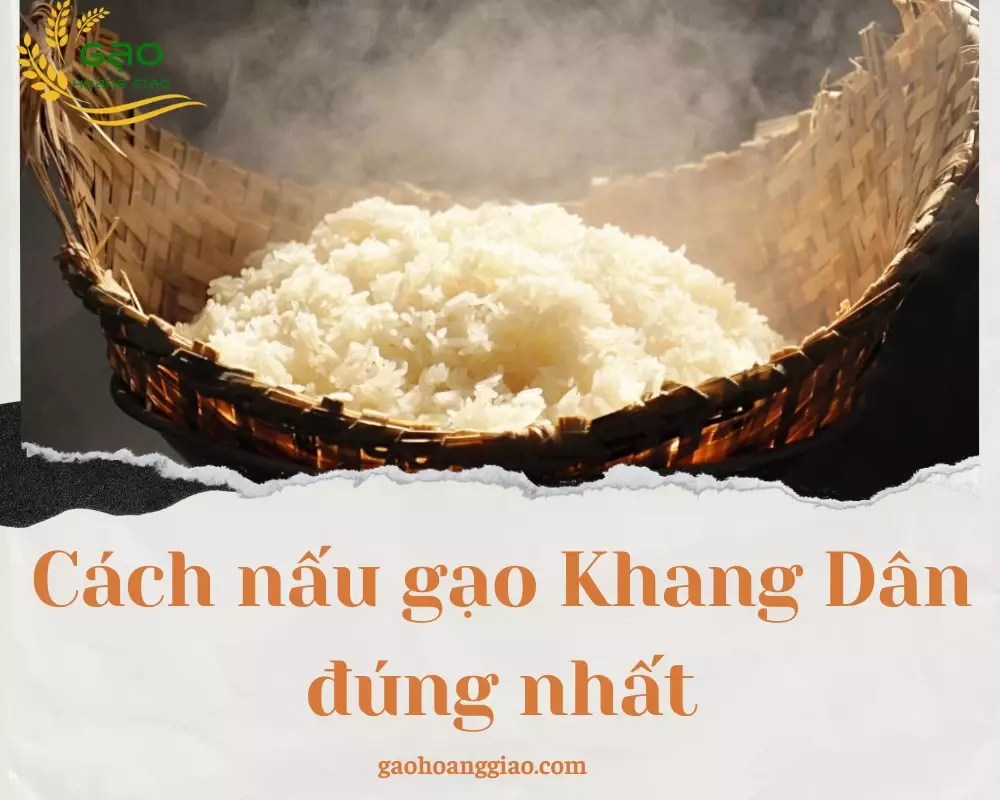 Hướng dẫn cách nấu gạo Khang Dân đúng nhất