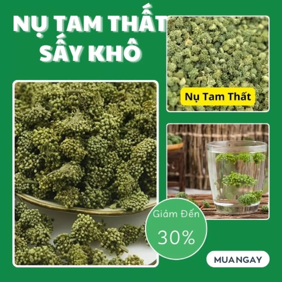 Nụ hoa tam thất tại HCM