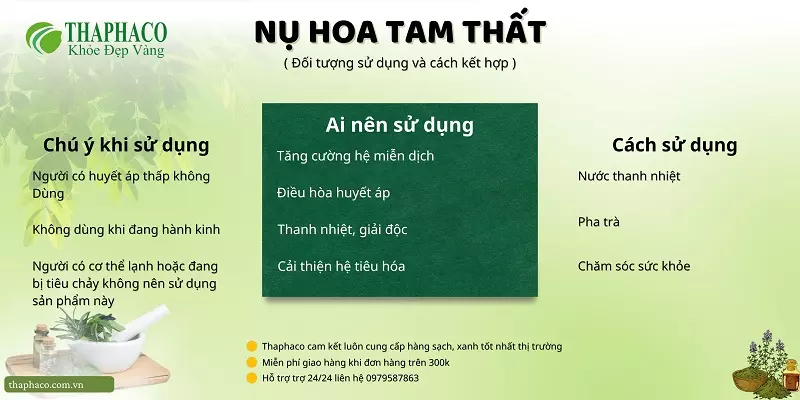 Nụ hoa tam thất tại HCM