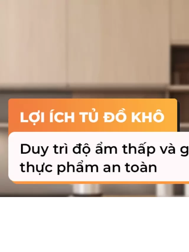   Tủ đồ khô: Bảo quản thực phẩm và sự tiện lợi trong bếp