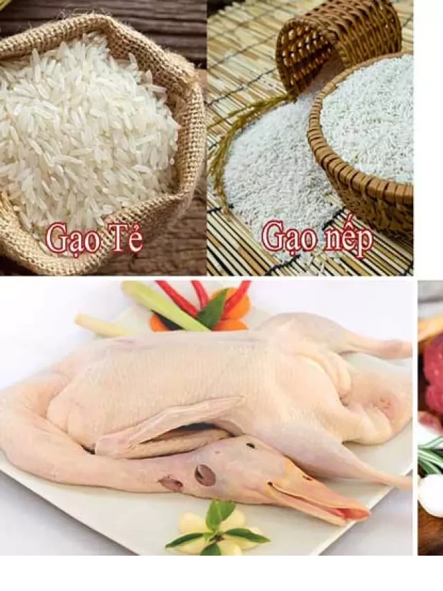   Cách làm lẩu cháo thập cẩm ngon tuyệt tại nhà