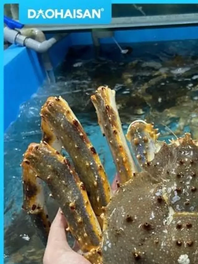   Ngon ngất ngây với món Cua King Crab sốt bơ tỏi