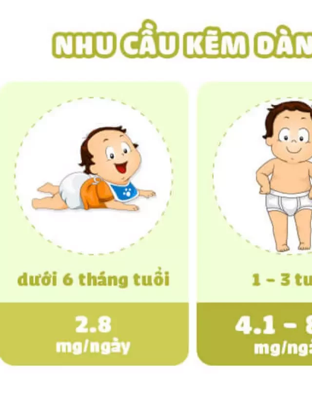   Thực phẩm bổ sung sắt và kẽm cho bé – Lựa chọn thông minh để đảm bảo sức khỏe