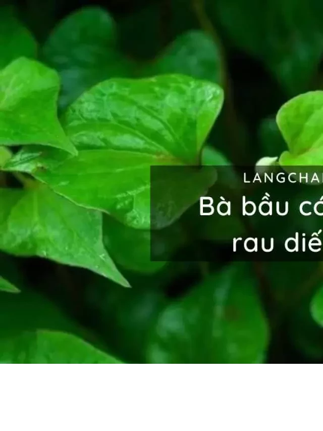   Bà bầu có nên ăn rau diếp cá? Lợi ích bất ngờ mà mẹ chưa hề biết