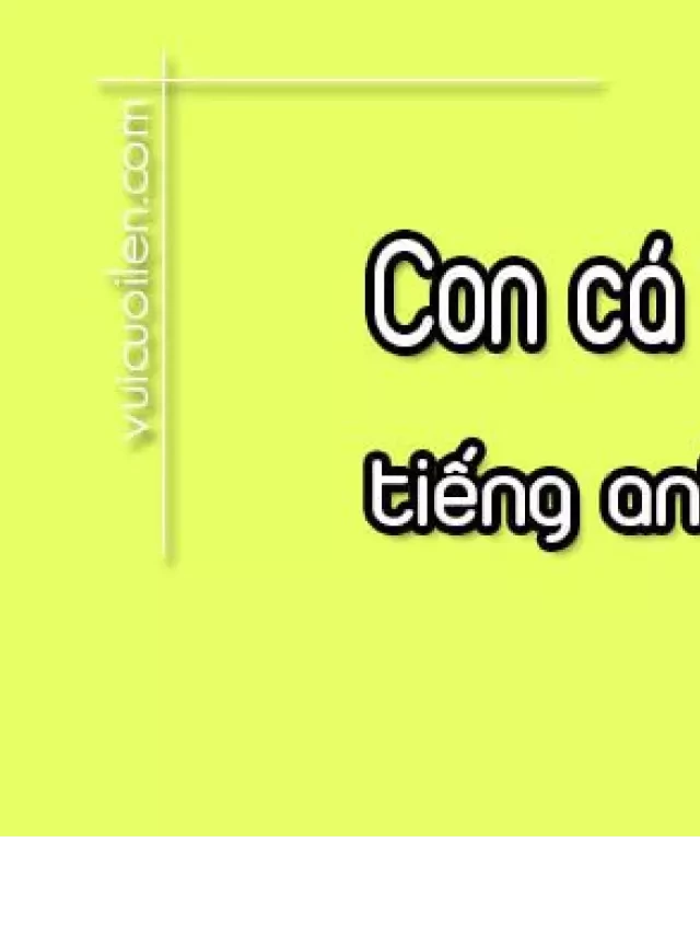   Con cá nóc tiếng Anh là gì và cách phát âm đúng