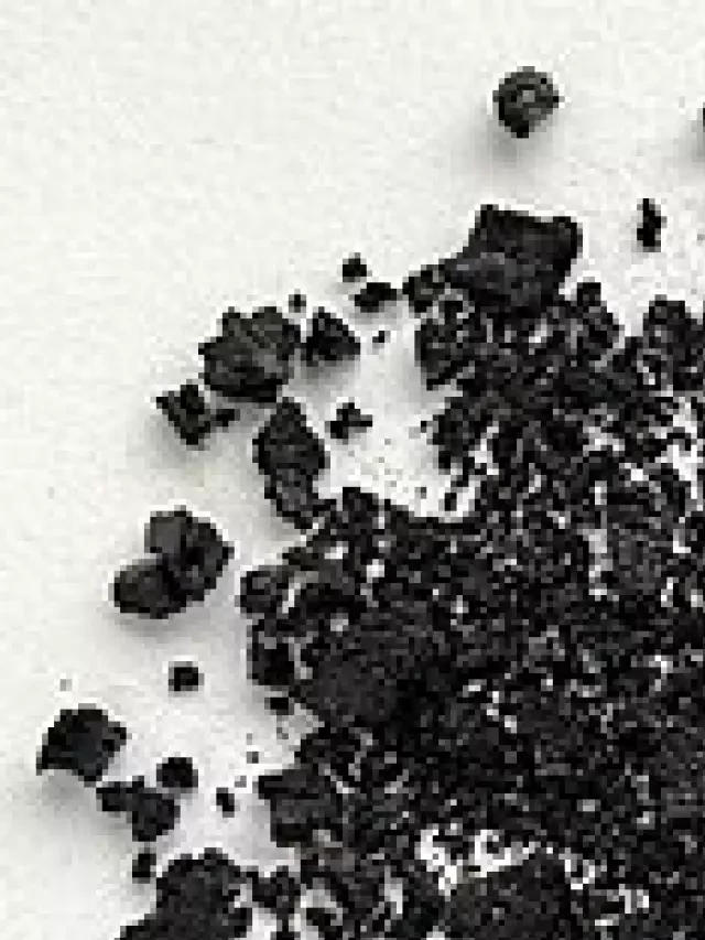   Chất Humic: Tất cả những điều bạn cần biết