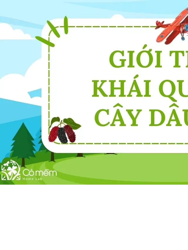   Lá dâu tằm: Khám phá những công dụng bất ngờ