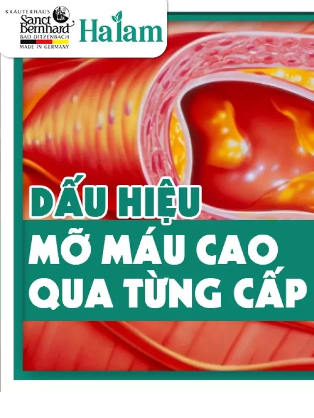   Những Dấu Hiệu Của Bệnh Mỡ Máu Cao Qua Từng Cấp Độ