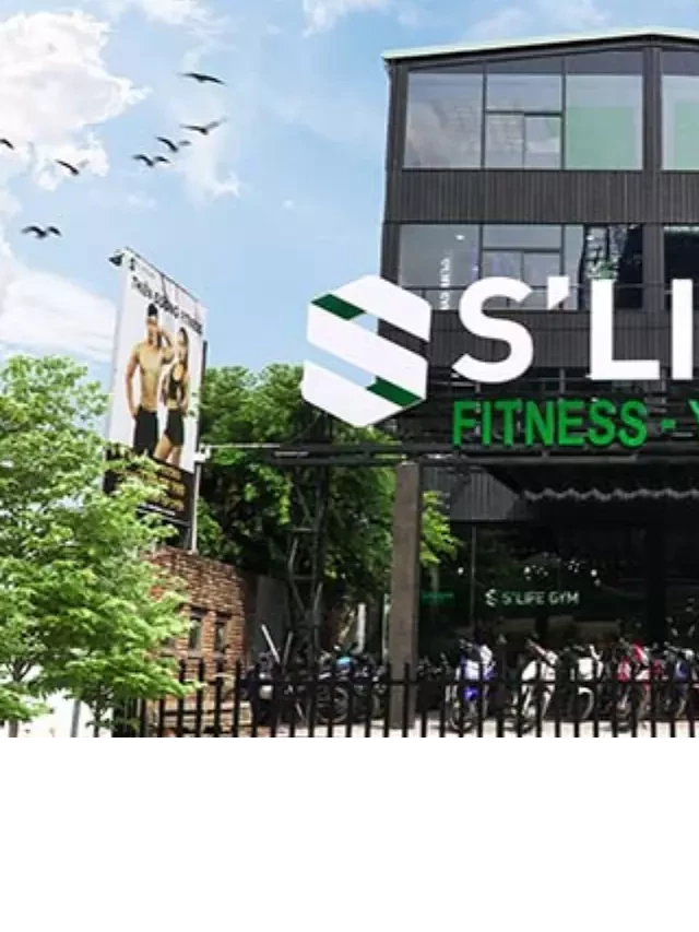   Phòng Tập S’Life Gym: Trải Nghiệm Và Chi Phí Từ A - Z