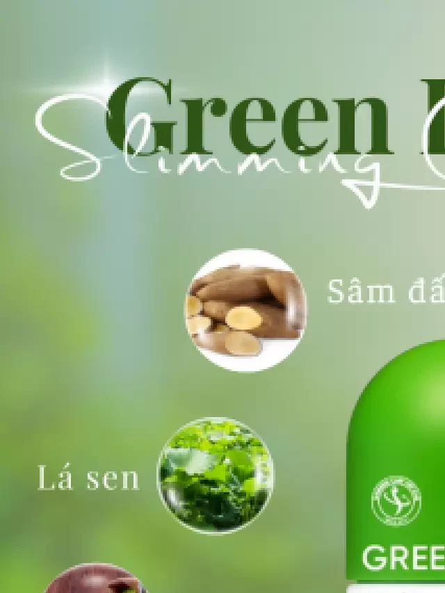   Thảo Mộc Giảm Cân Green Diet Slimming Care X5 - Giải pháp cho việc giảm cân hiệu quả