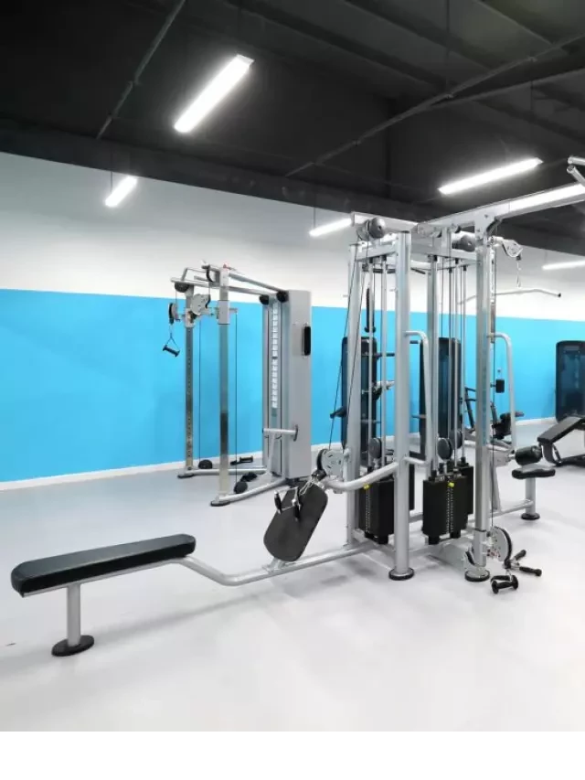   TOP 17 phòng gym ở TPHCM: Chất lượng và uy tín