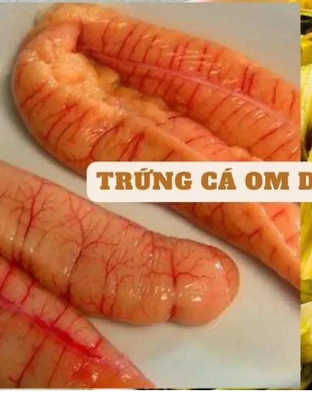   Trứng cá làm món gì ngon? Gợi ý menu 7 món ngon khó cưỡng chế biến từ trứng cá