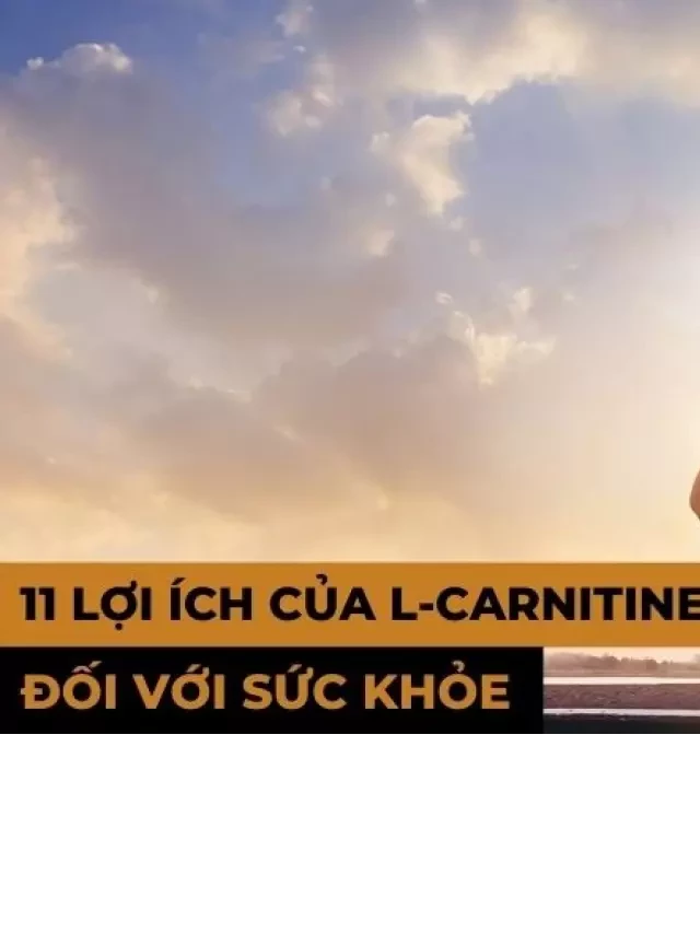   11 lợi ích của L-Carnitine giúp làm tăng sức khỏe của bạn