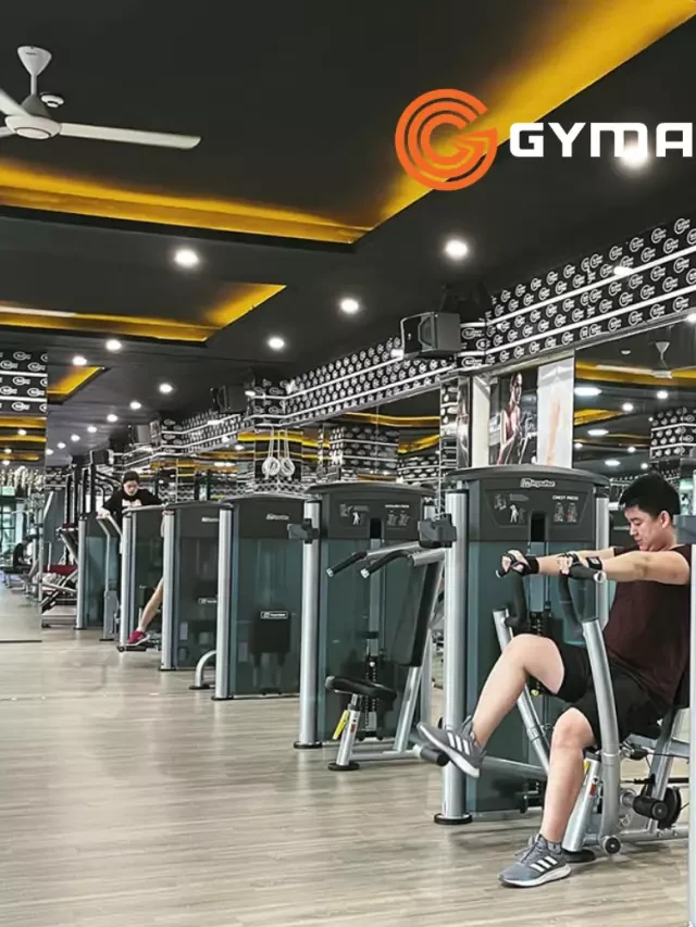   47 Mẫu Thiết Kế Phòng Gym Đẹp Mới Nhất Hiện Nay