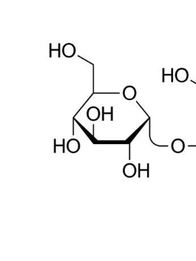   Công thức hóa học của đường: Tìm hiểu tính chất và cấu tạo mới!