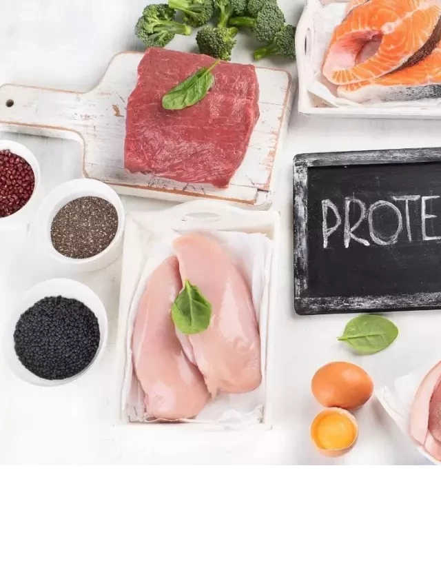   Protein và vai trò quan trọng của nó trong cơ thể: Gợi ý thực phẩm chứa protein