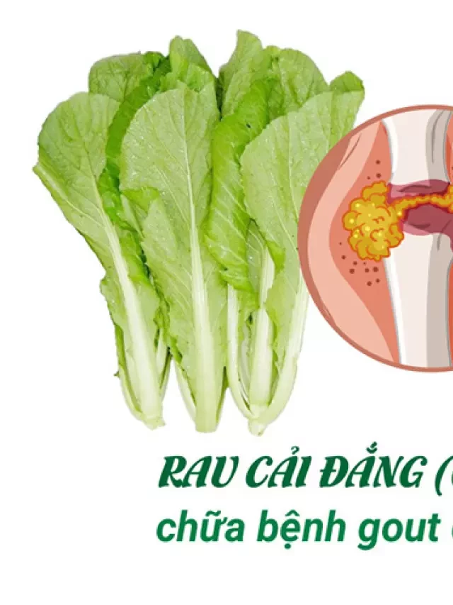   Rau cải đắng chữa bệnh gout: Sự thật hay huyền thoại?