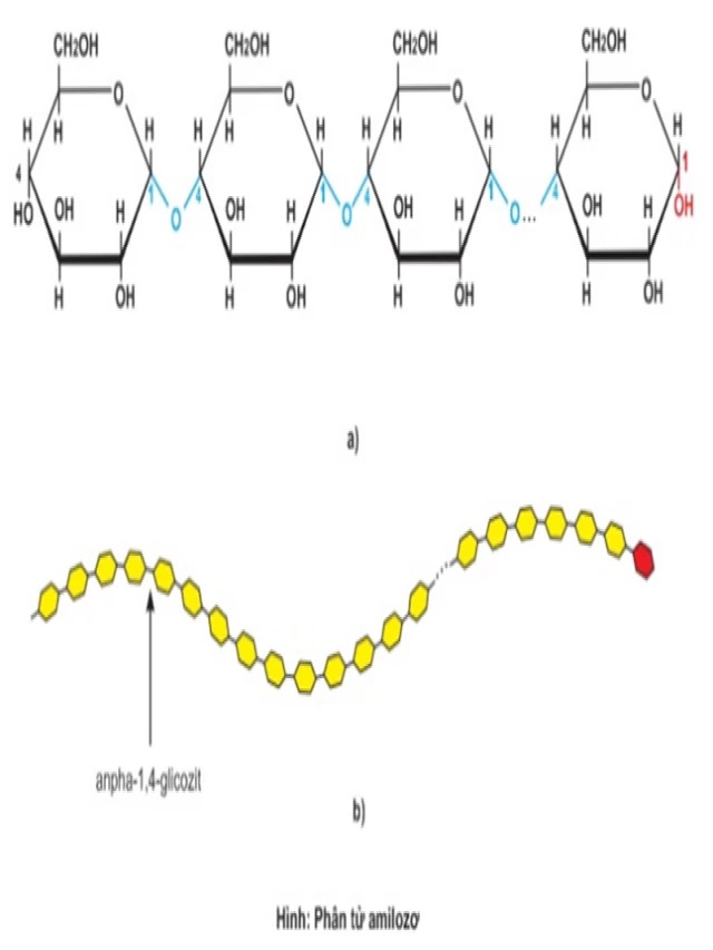   Tính Chất Hóa Học của Tinh Bột: Định Nghĩa, Cấu Tạo và Ứng Dụng