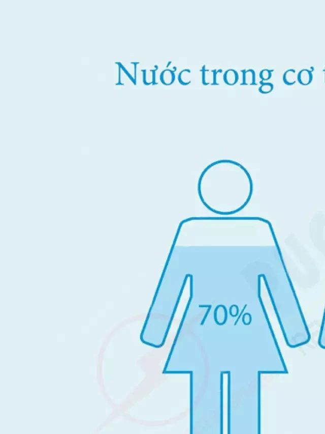   Uống nhiều nước có tốt không? Lợi ích và tác hại