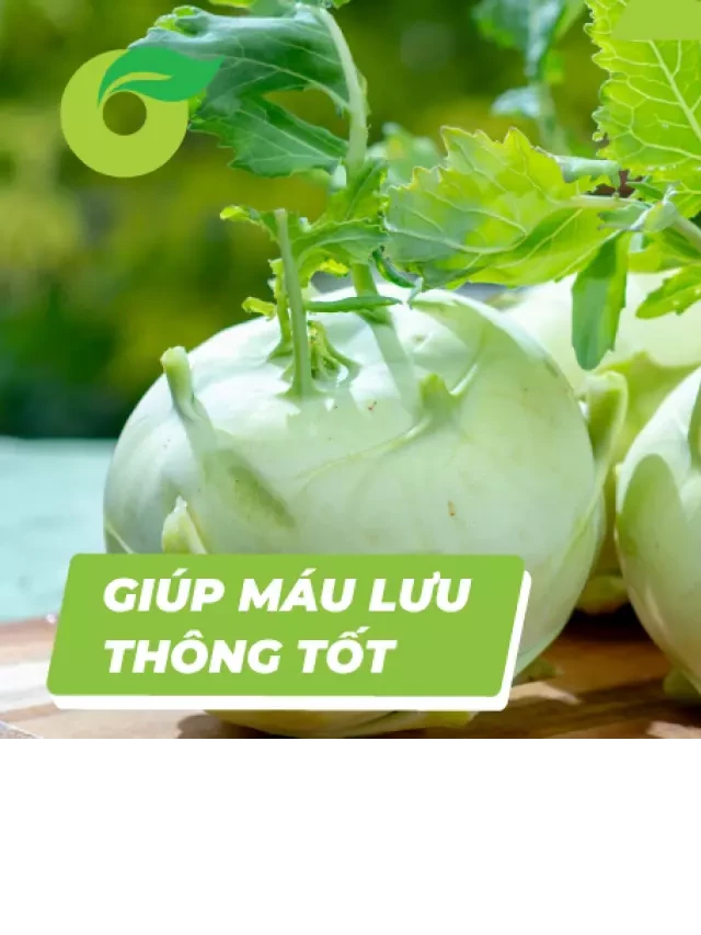   Tất tần tật về su hào và những công dụng hữu ích của su hào