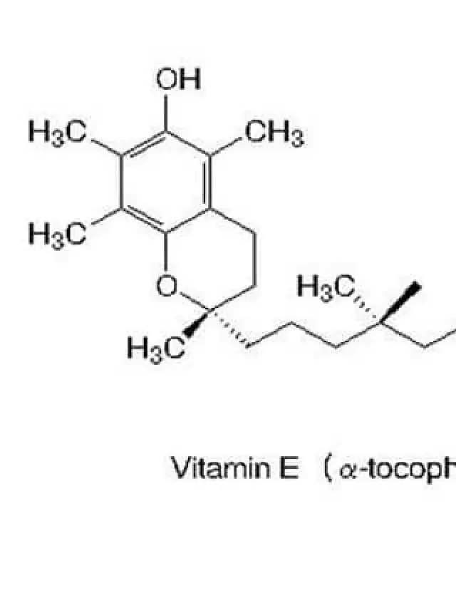   Vitamin E và những điều thú vị bạn cần biết!