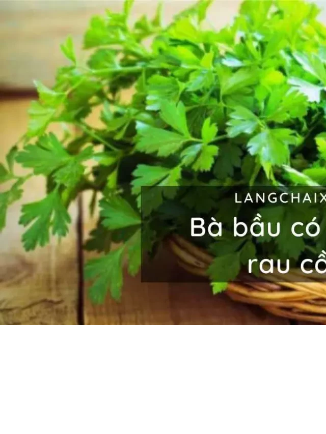   Bà bầu có nên ăn rau cần không? Nhưng nên ăn sao cho đúng