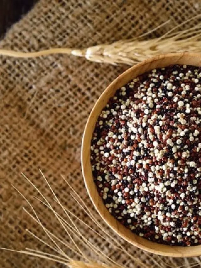   Bất Ngờ Với Lợi Ích Từ Sữa Hạt Quinoa Organic